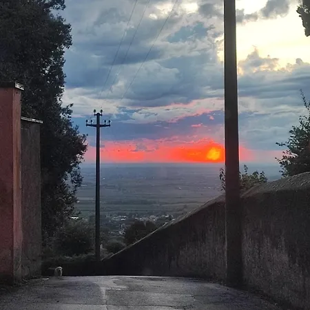 Alloggio Turistico Sara Castel Gandolfo Exterior foto